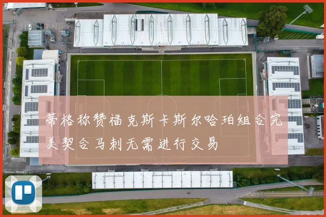 蒂格称赞福克斯卡斯尔哈珀组合完美契合马刺无需进行交易